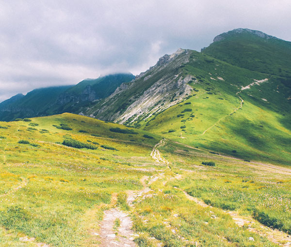 ip攻击器网页版